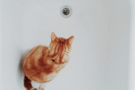 Is Mold The Invisible Trigger For Your Chronic Fatigue? A Doctor Explains