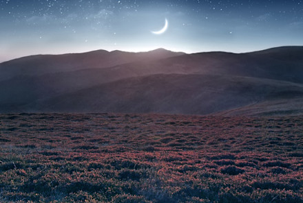 How Tonight's Leo New Moon Can Boost Your Confidence + Awaken Creative Genius Within