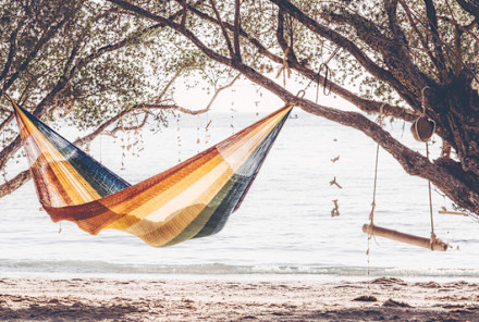 How To Use The Doshas To Hack Your Biological Rhythms: A Doctor Explains