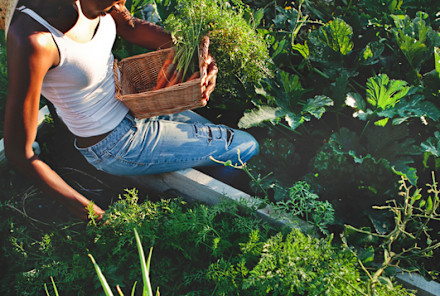 Is A Plant-Based Diet Enough to Keep You Healthy?