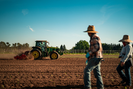 Do You Know Where Your CBD Comes From? Take A Look