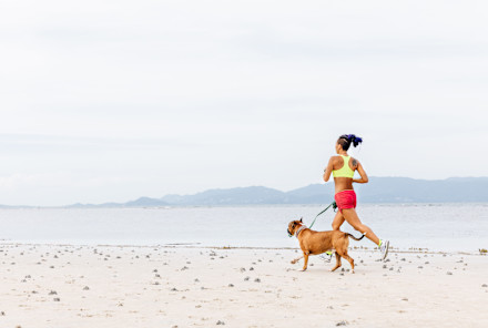 Our Dogs Deserve The Best, But So Does The Planet — How To Feed Your Pup Sustainably
