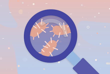 The Microbiome Is About WAY More Than Just Gut Health & Digestion