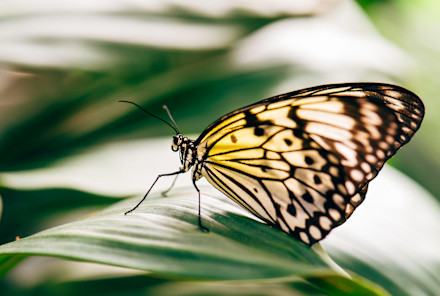 This Beauty Swap Is All About Protecting Earth's Biodiversity