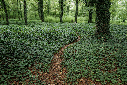Why We All Need To Think About Our Funerals—For The Sake Of The Planet
