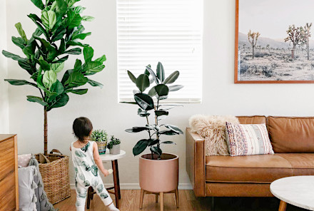 Want to Improve Your Mood At Home? You Might Need To Tweak These 3 Things