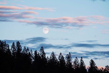 This Week's Full Moon Will Be Especially Intense For These 3 Signs