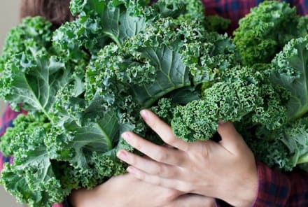 17 Things I Wish Everyone Knew About Kale