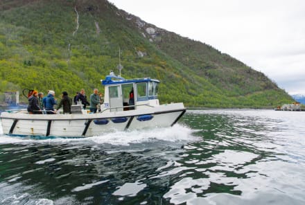 Can Fish Farming Ever Be Sustainable? How Norwegian Farms Are Turning The Tide