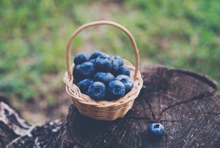 What Everyone Should Know About Eating To Fight Inflammation