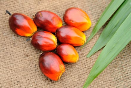 Is Palm Oil Really That Bad? Yes! Here's What You Can Do About It
