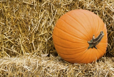 9 Exercises You Can Do With A Pumpkin (No Joke!)