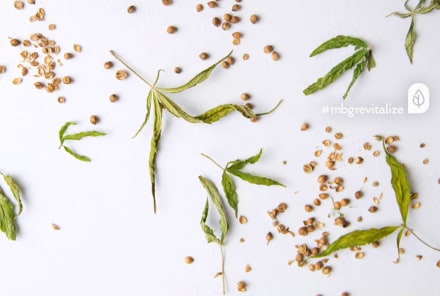 Have You Heard Of The Endocannabinoid System? It Rules Your Anxiety, Headaches & Pain