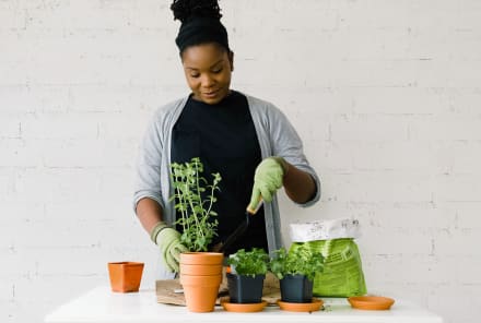 A Plant Expert Answered All The Herb Gardening Questions We've Ever Had