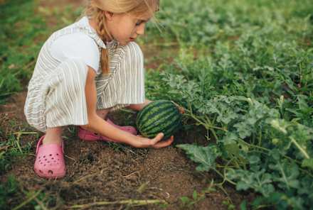 How To Raise The Next Generation Of Healthy (And Eco-Friendly) Eaters