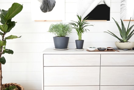 Peace Out, Negative Energy. How You Can Organize Your Home For Well-Being