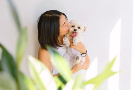 5 Reasons Dog Owners Are Healthier Than The Rest Of Us