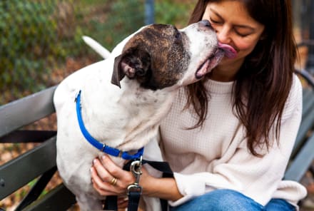 9 Reasons Getting A Dog Seriously Ups Your Wellness Practice