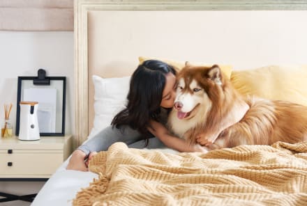 Here’s How You Can Help Improve Your Dog’s Emotional Well-Being