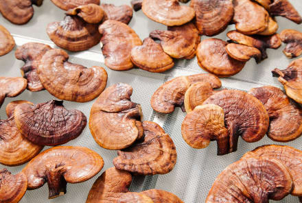 Reishi Mushrooms: 6 Awesome Health Benefits Of This Superfood
