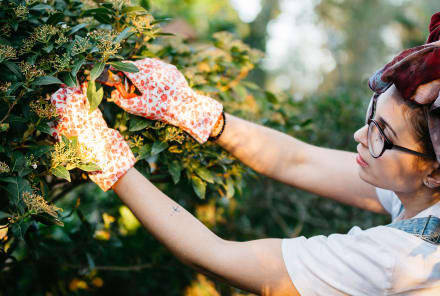 Prune Like A Pro In The Best Gardening Gloves Of Summer 2024