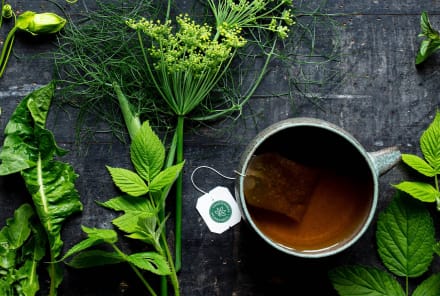 Curious About Herbalism? Here's How You Can Harness The Power Of Plants