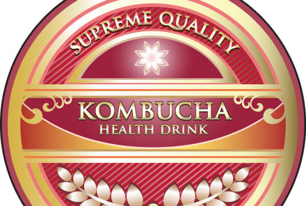 Kombucha Update! Synergy's GT Dave Speaks