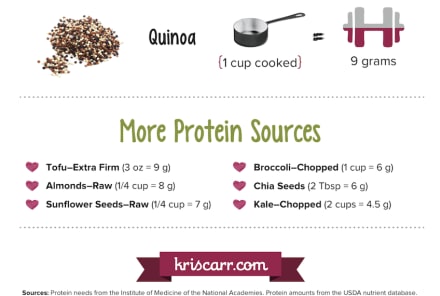 The Best Sources Of Plant-Based Protein (Infographic)