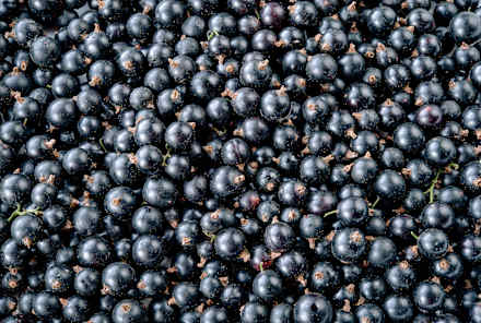 This Little Fruit May Have A Big Impact On Blood Sugar Balance, Study Suggests