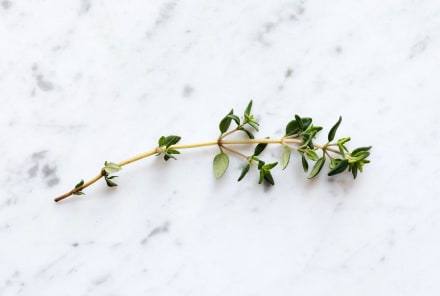 Can This Household Herb *Really* Ward Off Breakouts? What Research Says