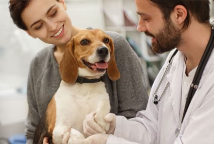 7 Questions You Should Ask Your Vet To Impact Your Pet’s Quality Of Life