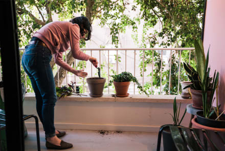 How To Start An Epic Apartment Garden, No Matter Where You Live