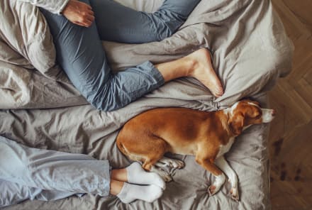 8 Sleep-Inducing Bedtime Rituals For Better Rest
