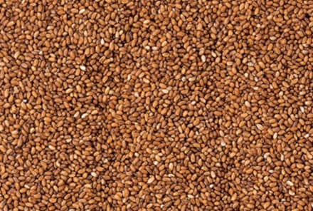 What You Need To Know About Teff: The Gluten-Free Grain Of The Future!