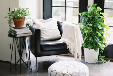 10 Easy Ways To Cleanse Your Home of Negative Energy