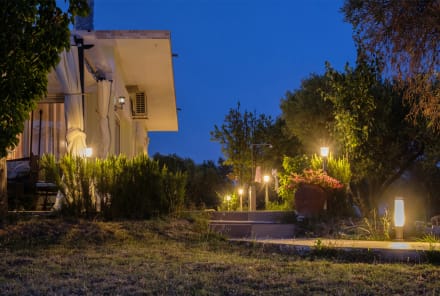 These 8 Sustainable Solar Lights Will Make Your Backyard Twinkle
