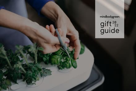 The Sustainable Gifts We’re Most Excited To Give This Year