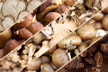 This Underrated Mushroom Is Packed With Functional Health Benefits