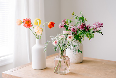 Fresh Spring Flowers in Three Vases On a Table Fresh Spring Flowers in Three Vases On a Table