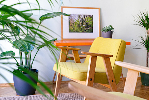 Easy Ways To Bring The Outdoors Into Your Home, An Architect Explains Easy Ways To Bring The Outdoors Into Your Home, An Architect Explains