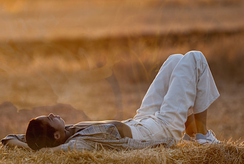 Calm Black Woman Resting On Meadow