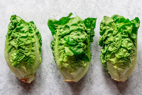 romaine lettuce romaine lettuce