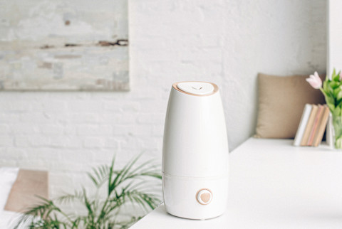 Humidifier On a Home Surface Humidifier On a Home Surface