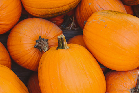 Pumpkins Pumpkins