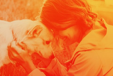 woman hugging dog with colorful overlay