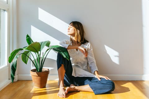 woman sitting next to plant near sunny window