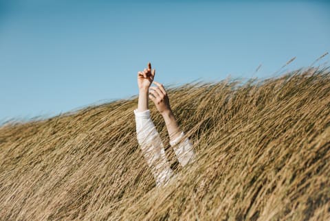 Two arms outstretched in grassland