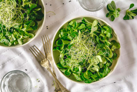 Overhead Photo of Spinach and Microgreens