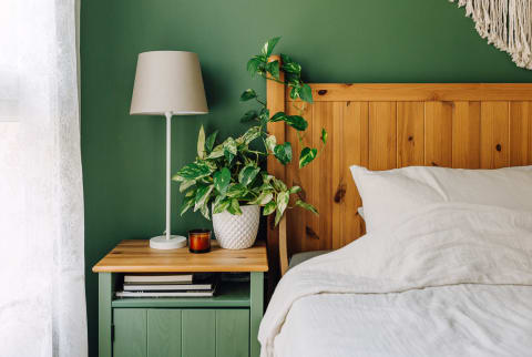 Sunlit Bed and Nightstand Against A Green Wall