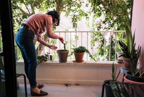 Woman Gardening At Porch